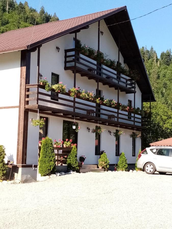 Villa Casa Ursului à Vadu Motilor Extérieur photo