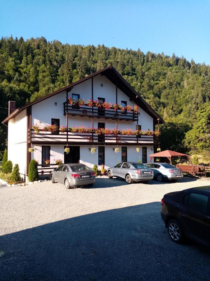 Villa Casa Ursului à Vadu Motilor Extérieur photo