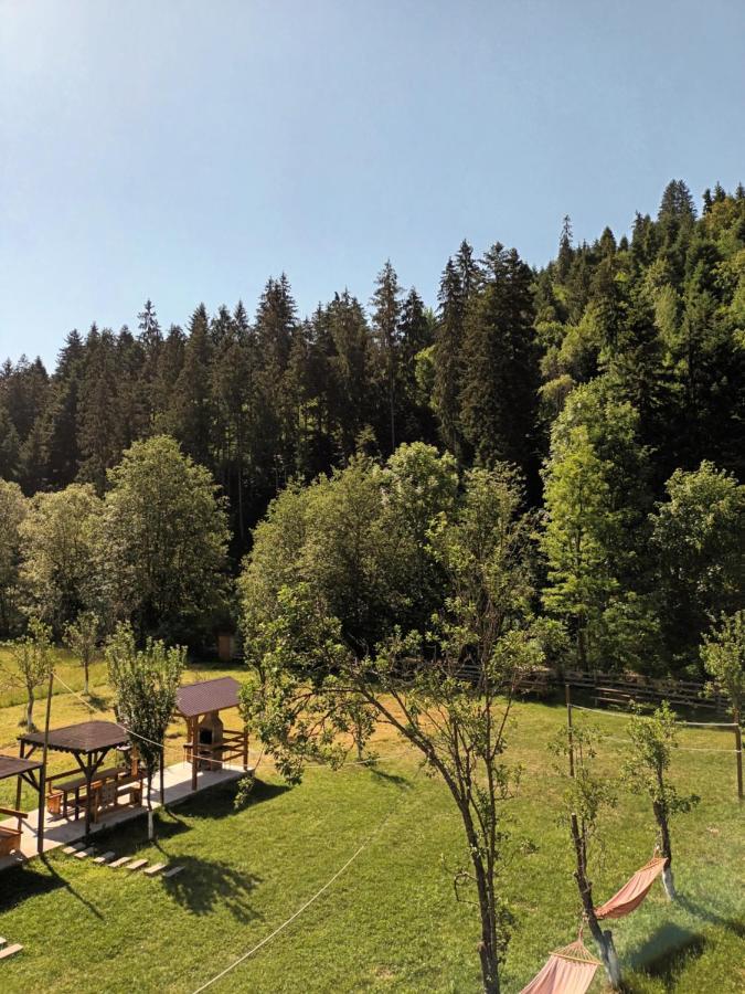Villa Casa Ursului à Vadu Motilor Extérieur photo