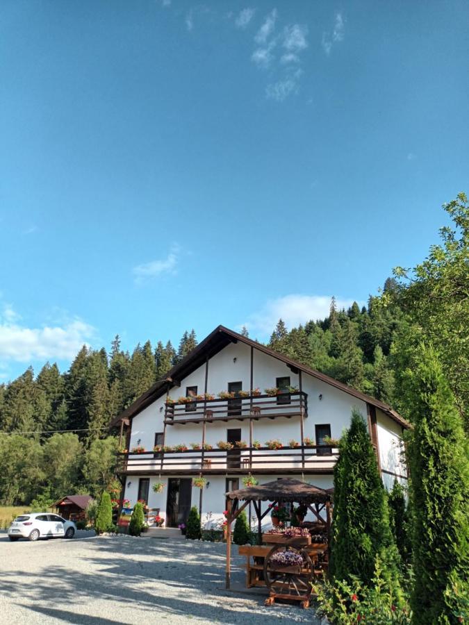 Villa Casa Ursului à Vadu Motilor Extérieur photo