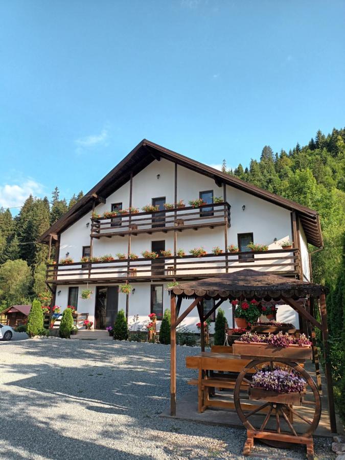 Villa Casa Ursului à Vadu Motilor Extérieur photo