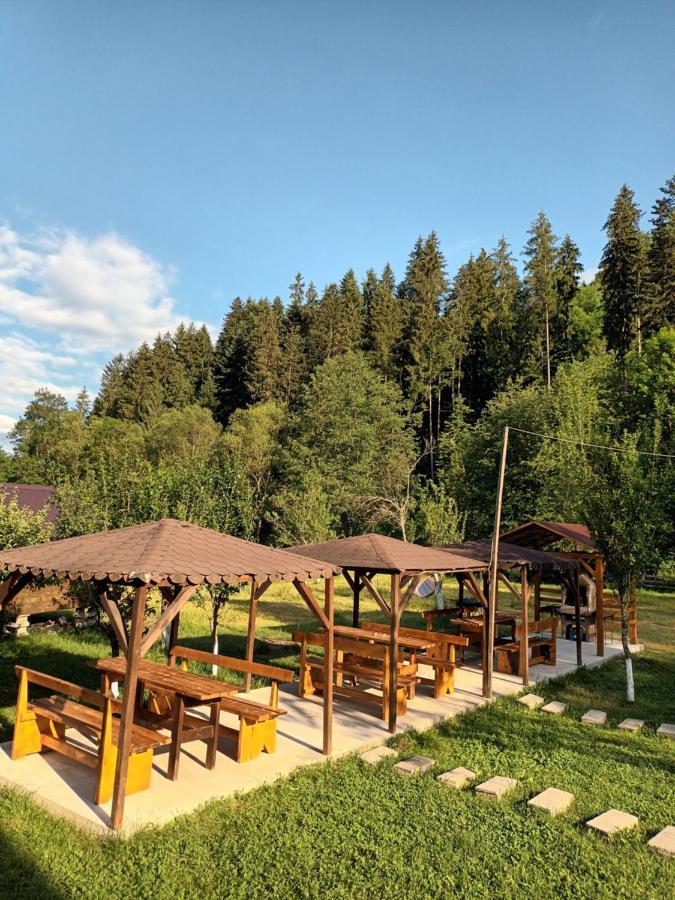 Villa Casa Ursului à Vadu Motilor Extérieur photo