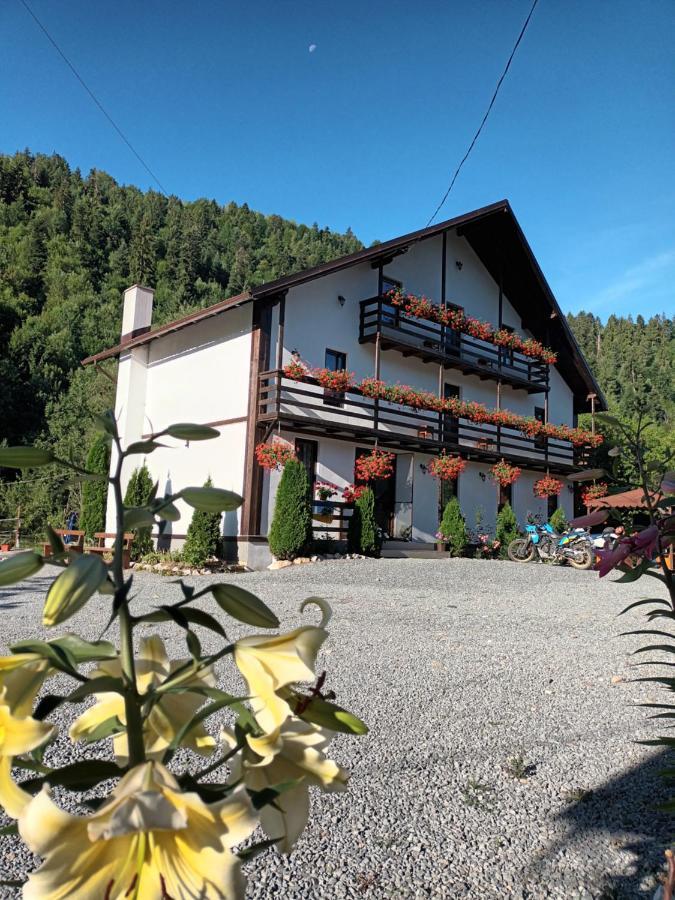 Villa Casa Ursului à Vadu Motilor Extérieur photo