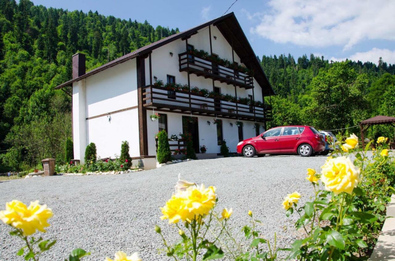 Villa Casa Ursului à Vadu Motilor Extérieur photo